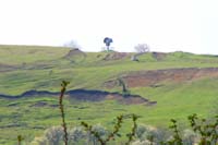 A crucifix at the top of a hill