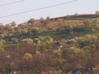A hill slope above a village