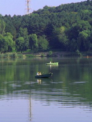 Lake in Valea Morilor